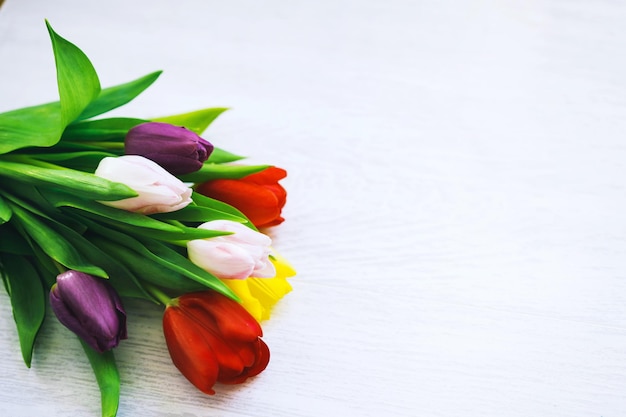 Blumenstrauß aus Frühlingsblumen Schöne Tulpen auf weißem Holzhintergrund mit Kopierbereich Draufsicht auf flache Lage