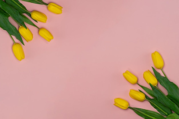 Blumenstrauß aus gelben Tulpen auf rosa Hintergrund Kopieren Sie Platz für Text