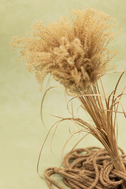 Blumenstrauß aus getrockneten Blumen in einer Vase auf olivfarbenem Hintergrund im Boho-Stil