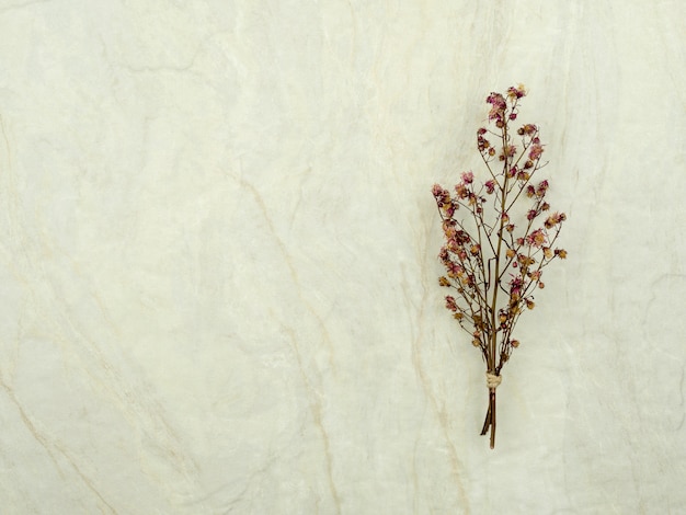 Blumenstrauß aus getrockneten Gypsophila blüht zur Dekoration