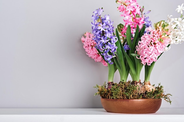 Blumenstrauß aus Hyazinthen in Schale mit Moos auf dem Kaminsims Frühling und Ostern natürliche Inneneinrichtung kopieren Raum