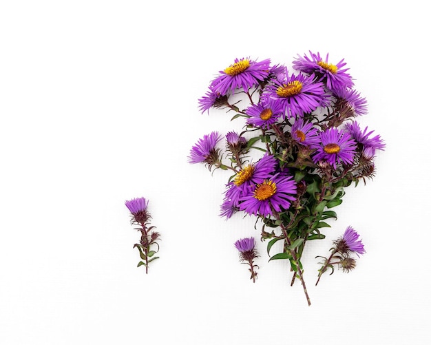 Blumenstrauß aus lila Blumen mit Kopienraum für Design.