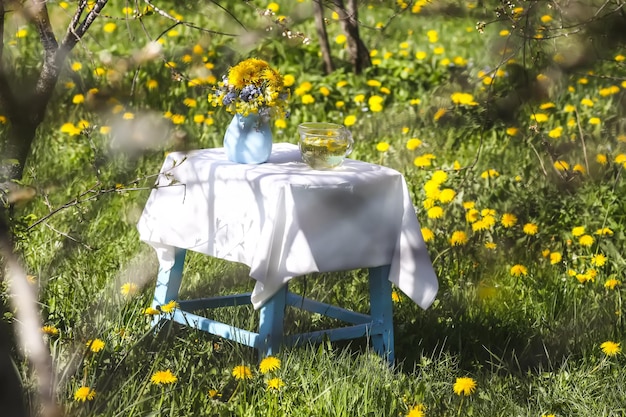 Blumenstrauß aus Löwenzahn auf