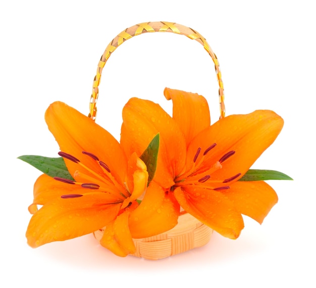 Blumenstrauß aus orangefarbenen Lilien in einem Geschenkkorb