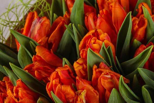 Blumenstrauß aus orangefarbenen Tulpen