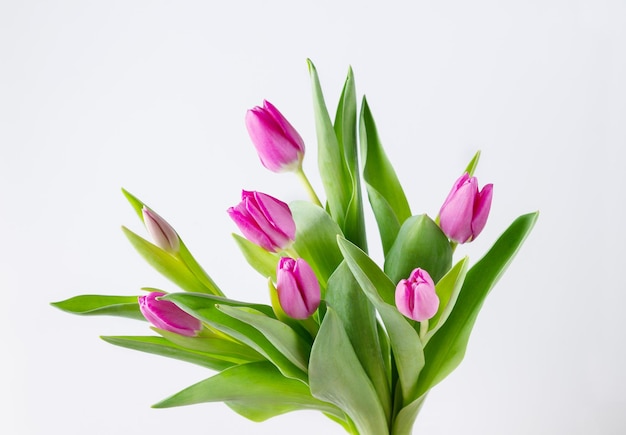 Blumenstrauß aus rosa Tulpen auf einem weißen Hintergrund kopiert Raum