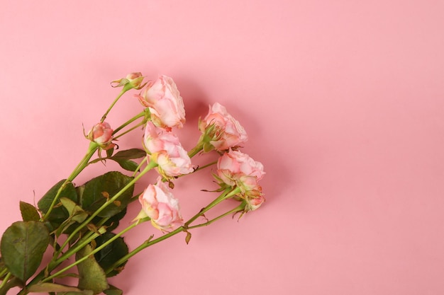 Blumenstrauß aus Rosen auf rosa Pastellhintergrund