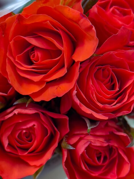 Blumenstrauß aus Rosenblüten, Nahaufnahme. Rosen zum Verkauf auf dem Blumenmarkt. Rote Blumen als Hintergrund