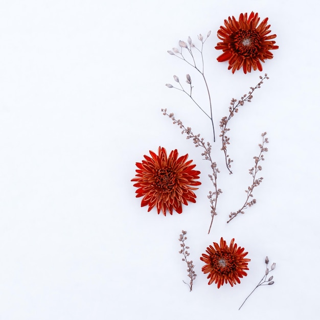 Blumenstrauß aus roten Herbstchrysanthemen hautnah mit Kopierraum