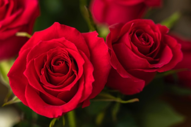 Blumenstrauß aus roten Rosen Draufsicht Rosebud Nahaufnahme