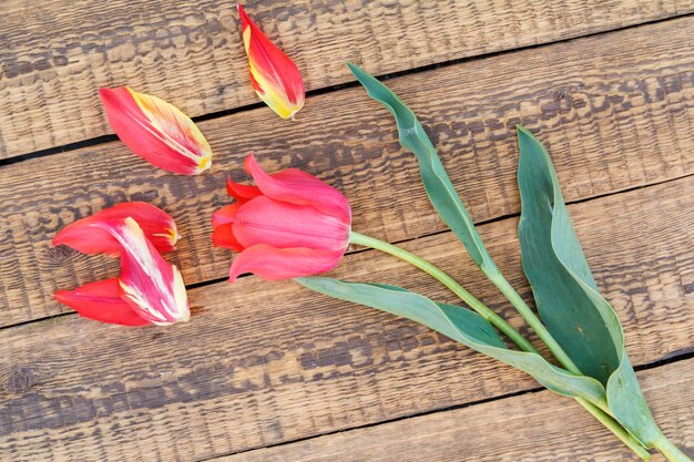 Blumenstrauß aus roten Tulpen auf den Holzbrettern