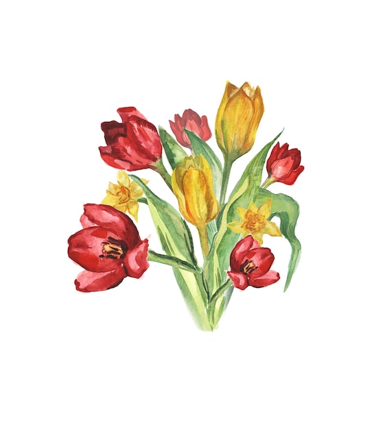 Blumenstrauß aus roten und gelben Tulpen. Aquarell-Illustration.