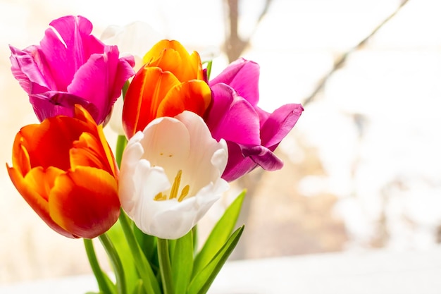 Blumenstrauß aus Tulpen in einer Vase am Fenster Konzept Muttertag Ostern Frühling Liebe