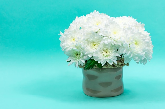 Blumenstrauß aus weißen Chrysanthemen in einer Keramikvase auf blauem Hintergrund Postkarte zum Muttertag für den 8. März Schöne Chrysanthemenblumen Platz für eine Inschrift