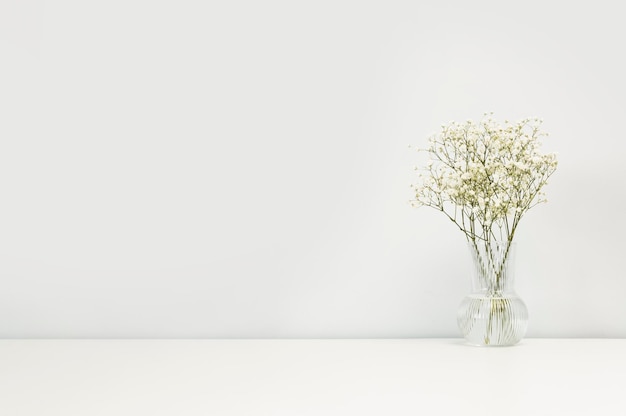Blumenstrauß aus weißen pastellfarbenen Gypsophila in einer Vase auf dem Tisch an der weißen Wand