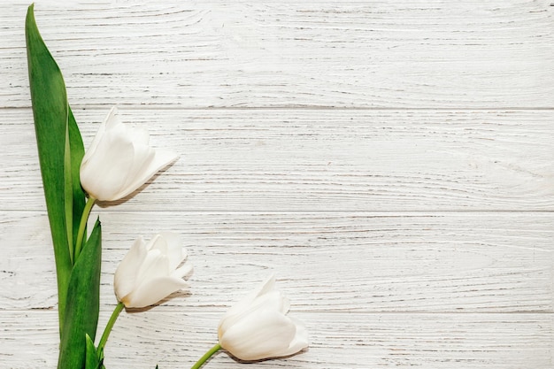 Blumenstrauß aus weißen Tulpen auf einem hölzernen weißen Hintergrund Platz für Text