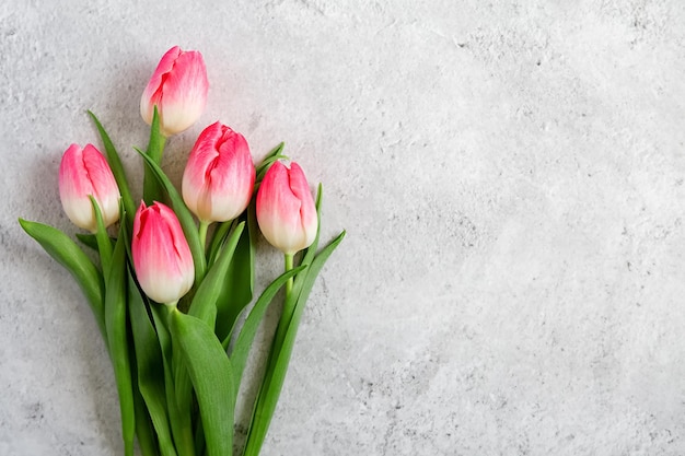 Blumenstrauß blühende rosa Tulpen mit grünen Blättern auf grauem Betonhintergrund flach mit Kopierraum