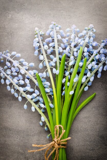 Foto blumenstrauß der blauen muscari auf rustikalem grauem hintergrund.