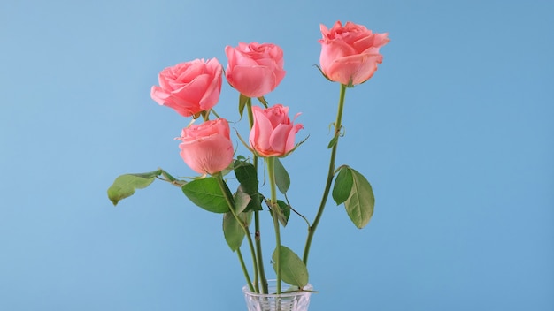 Blumenstrauß der rosa Rosen lokalisiert auf Blau