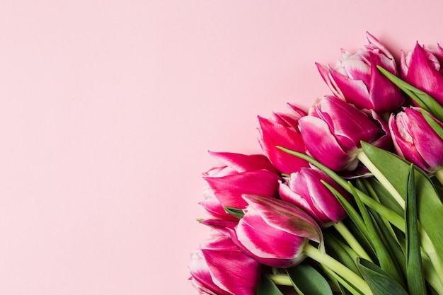 Blumenstrauß der rosa Tulpenblumen auf rosa Tisch. Alles Gute zum Valentinstag Wand. Muttertagskonzept. Speicherplatz kopieren