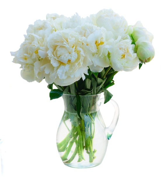 Blumenstrauß der weißen Pfingstrose in der Vase lokalisiert auf weißem Hintergrund
