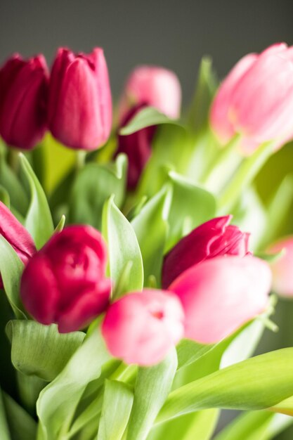 Blumenstrauß des schönen Tulpenblumenhintergrundes