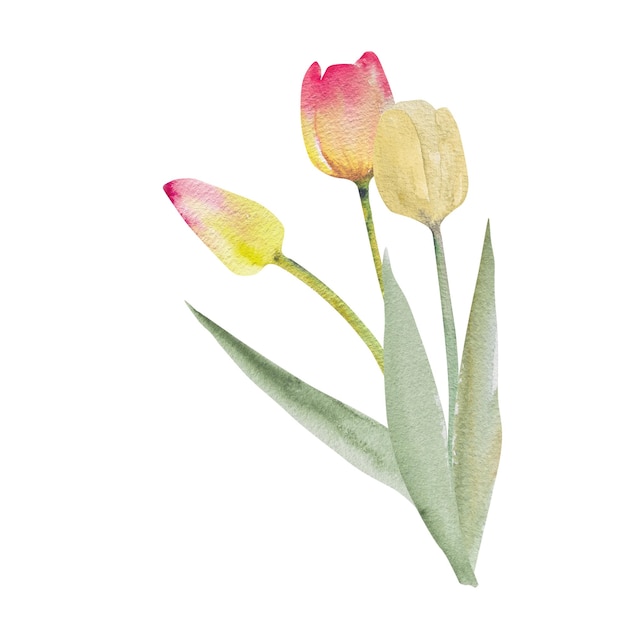 Blumenstrauß mit Tulpen, Aquarell, Frühlingsblumenillustration, handgezeichneter Oster-Hochzeitsausladung