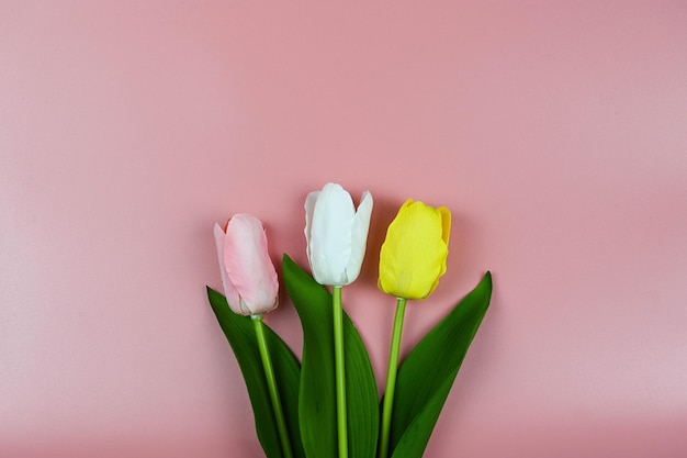 Blumenstrauß Tulpen auf einem rosa Hintergrund