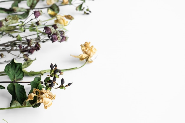 Blumenstrauß verwelkter Blumen auf einer weißen Wand