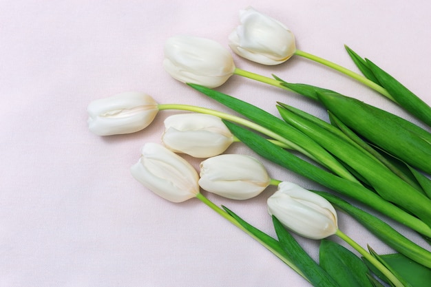 Blumenstrauß von den frischen weißen Tulpen, die auf einer hellen Tischdecke liegen. Grußkarte und Textfreiraum. Freier Platz für Ihren Text. Schöne Blumen schneiden. Frühlingsblumenpostkarte für das Feiern.