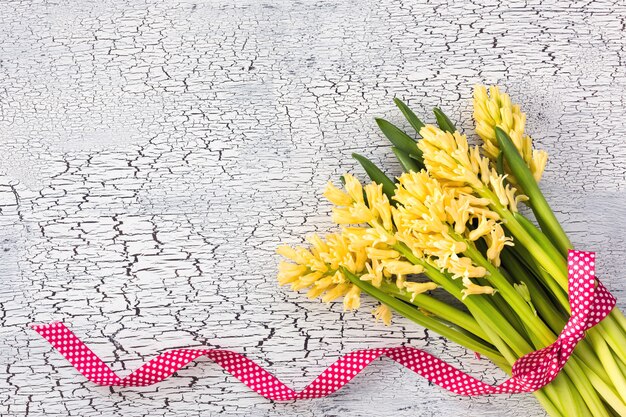 Blumenstrauß von den gelben Hyazinthen verziert mit rotem Band auf weißem Hintergrund. Draufsicht, Raum kopieren