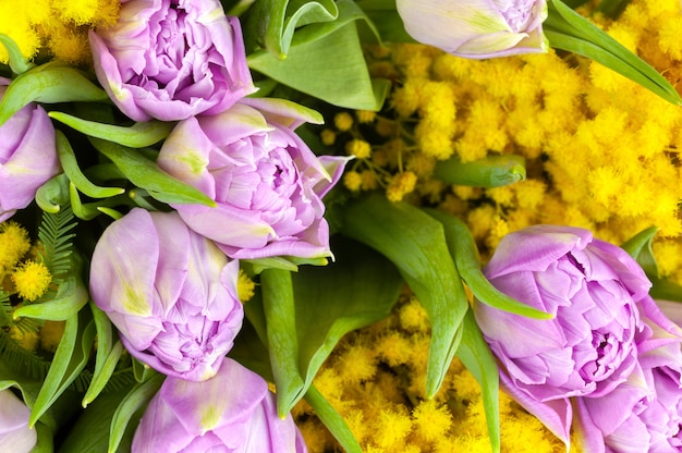 Blumenstrauß von lila Tulpen und gelben Mimosen, Makro, Seitenansicht, Nahaufnahme.