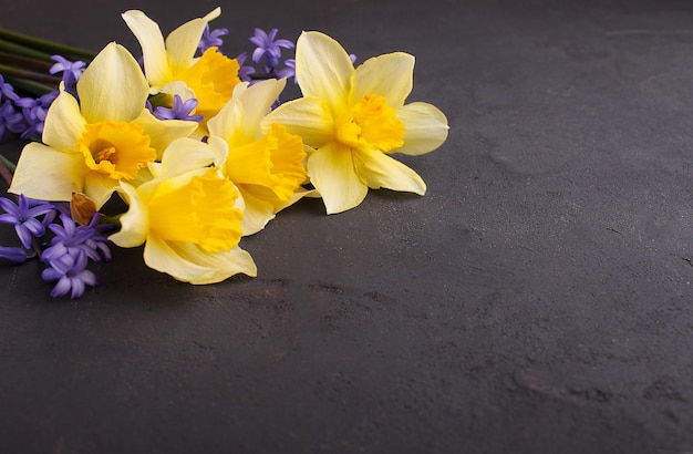 Blumenstrauß von Narzissen und von lila Blumen auf einem schwarzen Hintergrund, Kopienraum