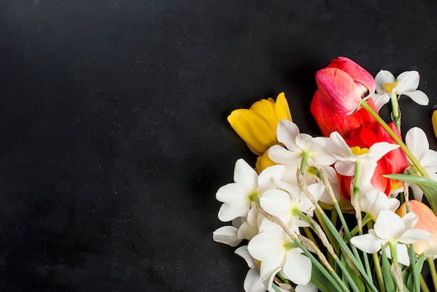 Blumenstrauß von roten Tulpen, von Narzissen und von Geschenk auf dem schwarzen Hintergrund