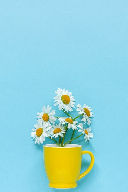 Blumenstraußkamille Gänseblümchenblumen im gelben Becher auf pastellblauem Farbpapier