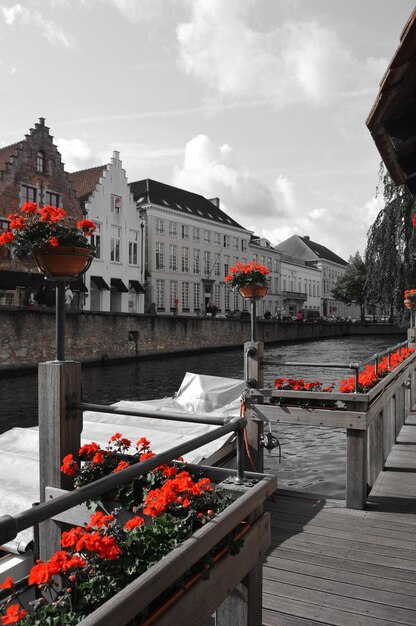 Foto blumentöpfe am pier am kanal