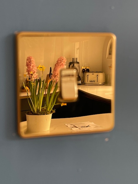 Blumentopf und moderne Küche, die sich in goldenen Lichtschaltern widerspiegeln