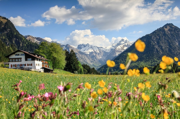 Foto blumenwiese mit schneebedeckten bergen und traditionellem haus. bayern, alpen, allgäu, deutschland.