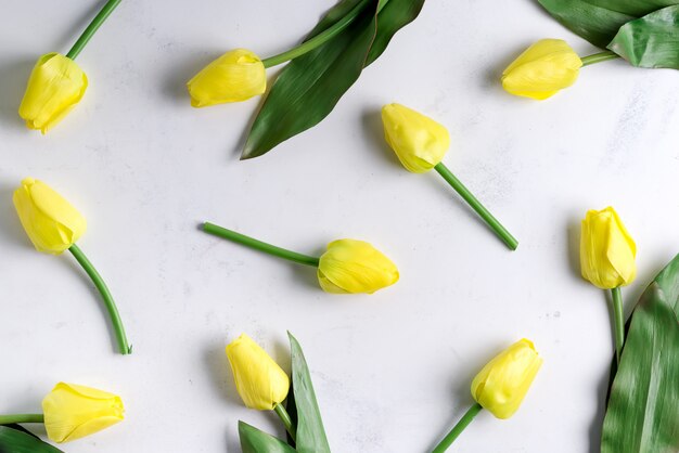 Blumige gelbe Tulpe auf Marmoroberfläche. Flache Lage, Draufsicht.