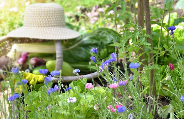 Blumiger Gemüsegarten mit Weidenkorb und Hut voller frischem Gemüse