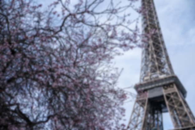 Blur Photo Spring in Paris Bloomy cerejeira e a Torre Eiffel