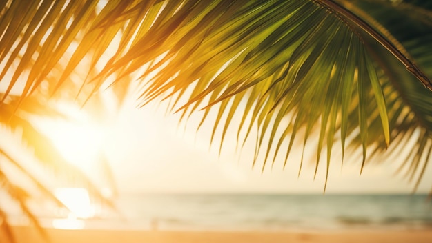 Blur schöne Natur grünes Palmblatt auf tropischem Strand mit Sonnenlicht Welle abstrakter Hintergrund