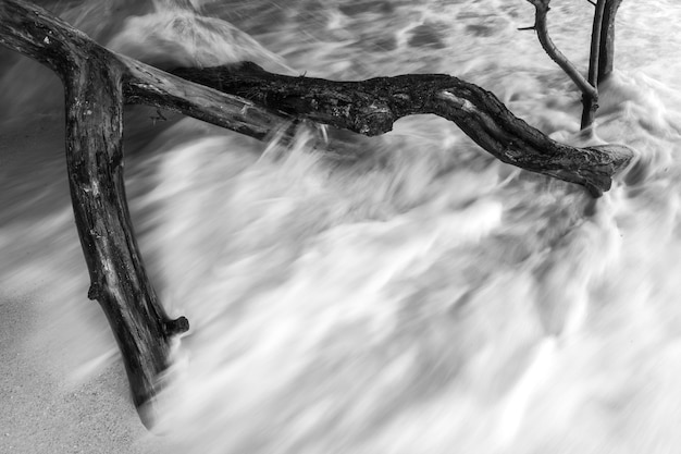 Blurry Hintergrund abstrakt schwarz &amp; weiß Foto Welle brechen Baum und Sand.