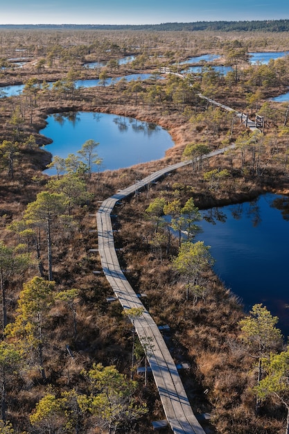 Boarwalk im Hochmoor, Luftaufnahme. Lettland, Kemeri Nationalpark. Landschaft