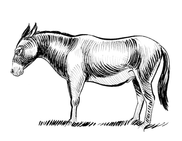 Un boceto de un burro con cola negra y fondo blanco.