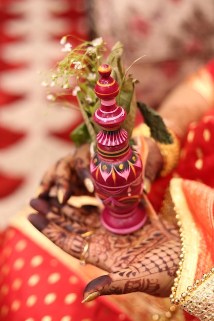 boda bengalí sosteniendo una madera roja