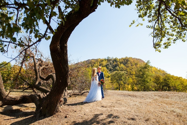 Boda de una joven pareja con un paseo por el parque verde.