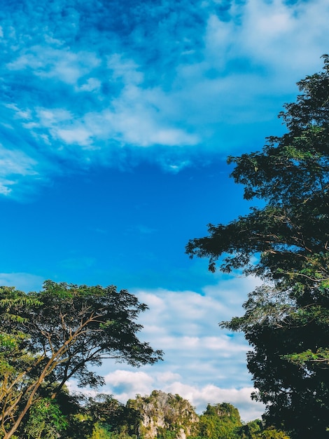 Una boda en las nubes