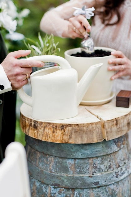 Boda tradición planta árbol juntos