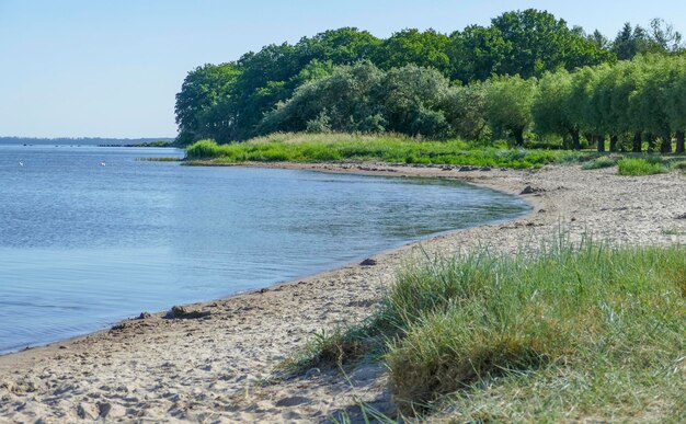 Foto bodden em ruegen